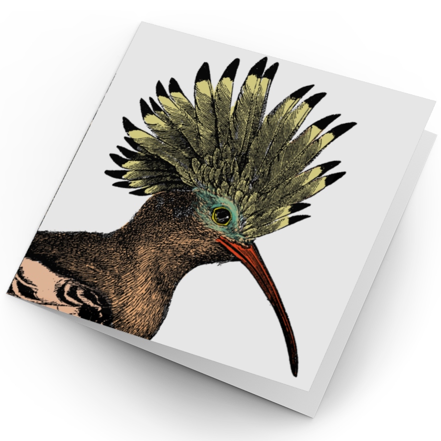Hoopoe Card